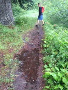 The trail gets muddier