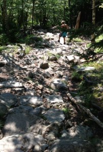 Rocks of the rocky White Cross Trail