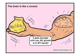 brain is like a muscle