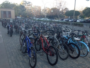 Bike racks in the late afternoon