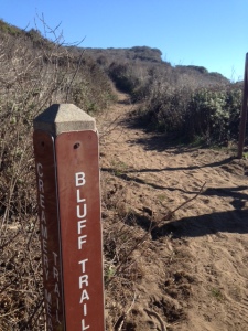 AM 8 bluff trail sign
