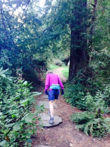 Let the redwoods begin.  Hannah on the Ewoldsen Trail.