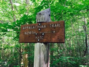 Heading north to Moxie Bald on the Appalachian Trail