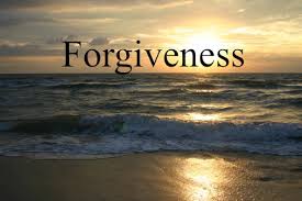 Nov forgiveness